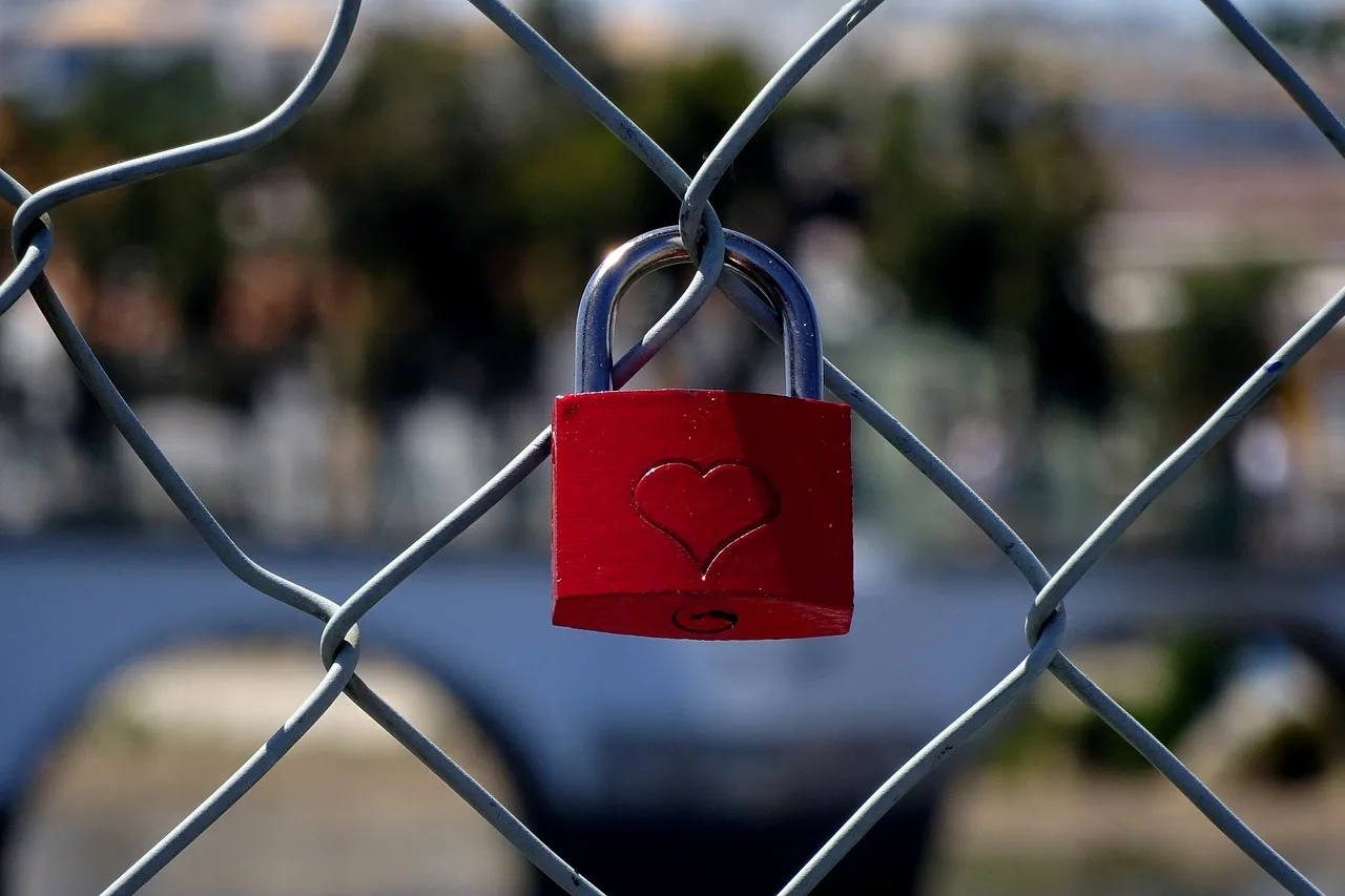 Thuiskomen bij jeZelf: de verbinding met jeZelf herstellen 2 Mijn hart is op slot